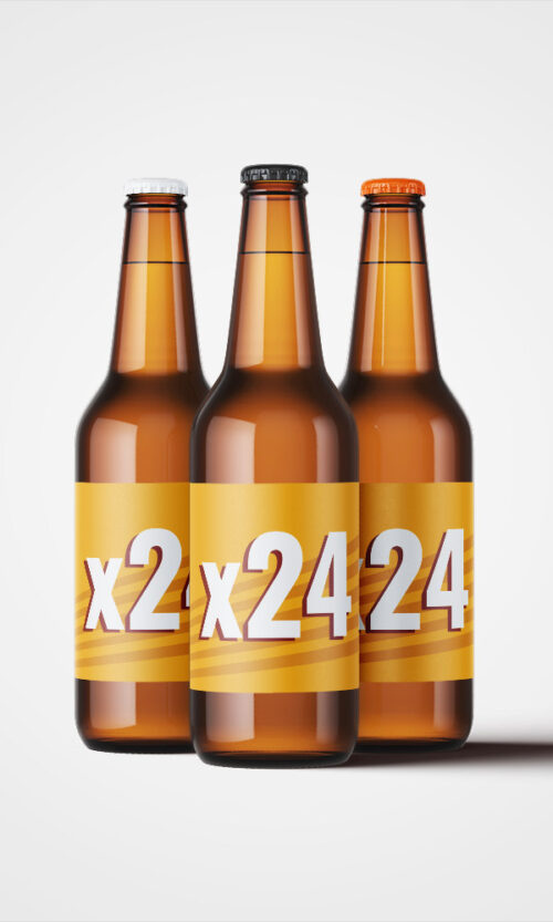 Pack de 24 cervezas